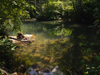 Vistas de un paisaje verde acuático, con piedras al fondo que se transparentan y reflejos como un espejo, en Asturias España, verano de 2021