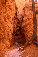 red canyon in the desert