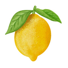 Lemon illustration, color painting.