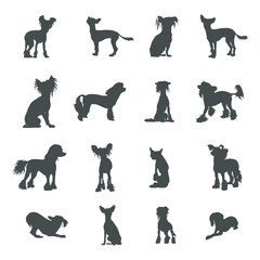 Chinese crested dog silhouettes