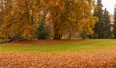 Valentino Park in the city of Turin, Piedmont, northern Italy - autumnal landscape