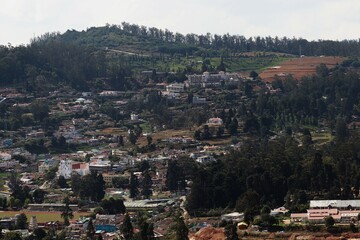 Ooty hills