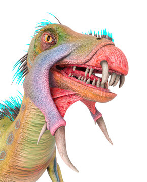 unknown dinosaur id picture profile portrait