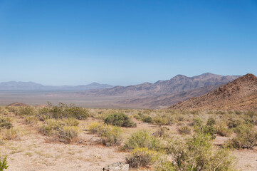 joshua tree national park california landscape