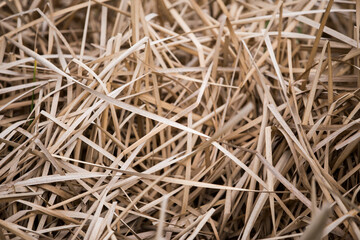 Straw texture cutout