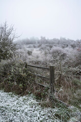 Beautiful Winter landscape image of forest in English countryside covered in hoarfrost at dawn