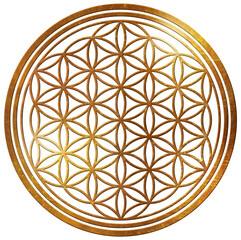 life flower isolated