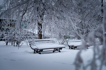 Park bench covered by snow. Urban place of recreation and walks.
