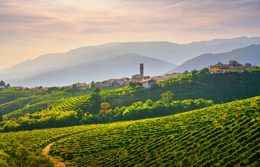 Prosecco Hills, vineyards and San Pietro di Barbozza village. Valdobbiadene, Veneto, Italy - 557438523