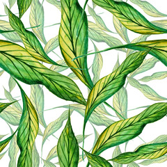 Fototapeta na wymiar Watercolor leaves in a seamless pattern. Can be used as fabric, wallpaper, wrap.