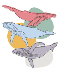 Vector image of whales on an abstract background, hand drawn whales