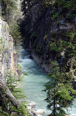 Johnston Canyon. Banff National Park, Alberta, Canada