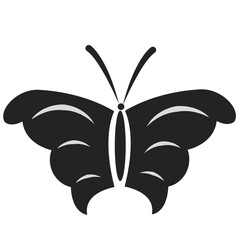 icon Vector butterfly