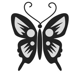 icon Vector butterfly