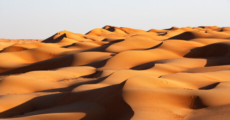 Fototapeta na wymiar Sanddünen in der Rimal al Wahiba Wüste,Oman,