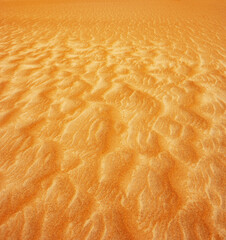 Sanddünen in der Rimal al Wahiba Wüste,Oman,