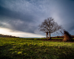 Hochsitz am Waldrand
