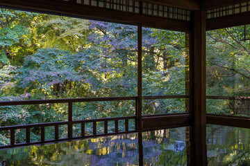 京都の比叡山のふもとにある瑠璃光院の風景