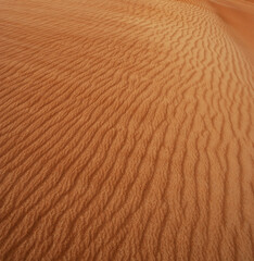 Sanddünen in der Rimal al Wahiba Wüste,Oman, 
