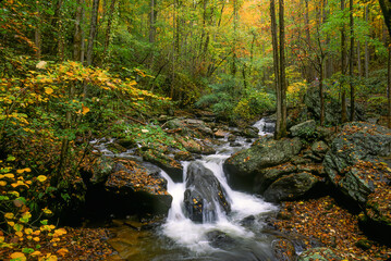Fototapeta premium Small stream and waterfall in North Georgia during the fall season. Autumn leavescolor the trees and streambed.