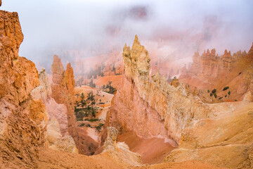 hoodoos covered in fog at bryce canyon