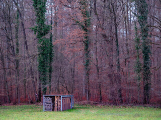 Brennholzlager auf einer Streuobstwiese © focus finder