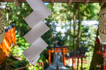 神社の注連縄についている紙垂
