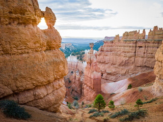 sandstone wall and hoodoos in bryce canyon