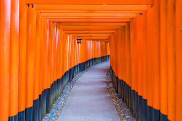 真っ赤な鳥居が並ぶ、京都の伏見稲荷の千本鳥居