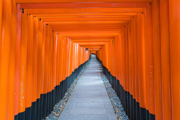 真っ赤な鳥居が並ぶ、京都の伏見稲荷の千本鳥居