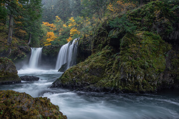 waterfall in the forest