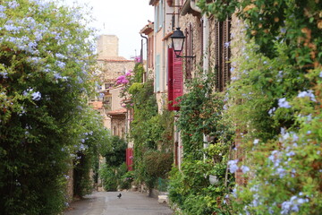 Ruelle végétalisée pittoresque dans la vieille ville d’Antibes, dans les Alpes-Maritimes, en Provence, avec de nombreuses plantes vertes et des fleurs devant les façades des maisons (France)