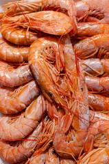 Healthy diet food: boiled wild tiger shrimps close-up
