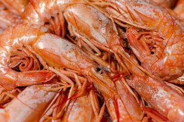 Gastronomy: boiled wild tiger shrimps close-up
