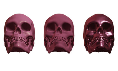 Naklejka premium skull skeleton human