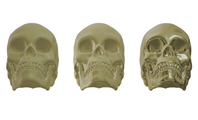 skull skeleton human