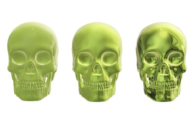 skull skeleton human