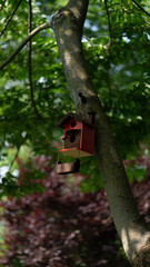 bird house on a tree