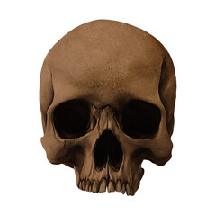 Human Skull With Missing Jaw Digital Art By Winters860 Isolated, Transparent Background 