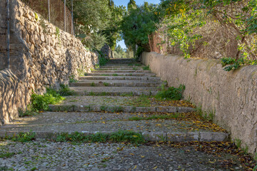 Rural cobblestone road at sunset