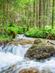 Stream flowing smoothly between rocks and green leaves in the forest.