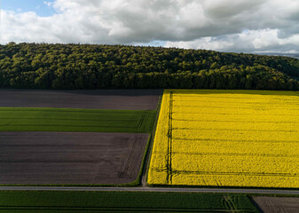 Drohnenfoto - Blühende Rapsfelder wechseln sich mit grünen Getreidefelder ab, im Hintergrund Wald.