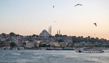 Fototapeta na wymiar Evening landscape from the sea to the Sofia mosque with ships and flying seagulls over the sea. Sunset in Istanbul. Turkey.
