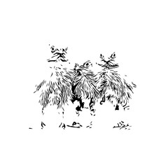 Fototapeta premium black and white drawing sketch of a chicken with transparent background for learning to color