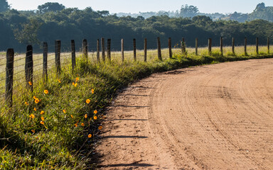 Countryside dirt road with yeloow flowers on the sidelines along barbed wire fence with grassland...