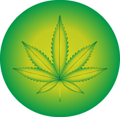 Vector illustration of marijuana leaf, cannabis plant used for medicinal purposes