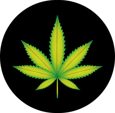 Vector illustration of marijuana leaf, cannabis plant used for medicinal purposes