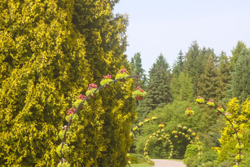 Naklejka premium Potted flowers hanging outdoors. Outside decor.