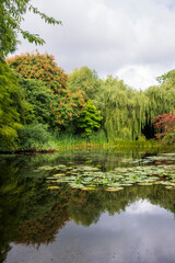 Fototapeta premium Lake at Cambridge Botanical Gardens