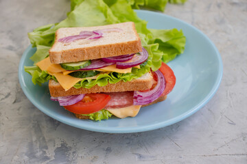 Sandwich with cheese, sausage, tomato, lettuce, blue onion on old background